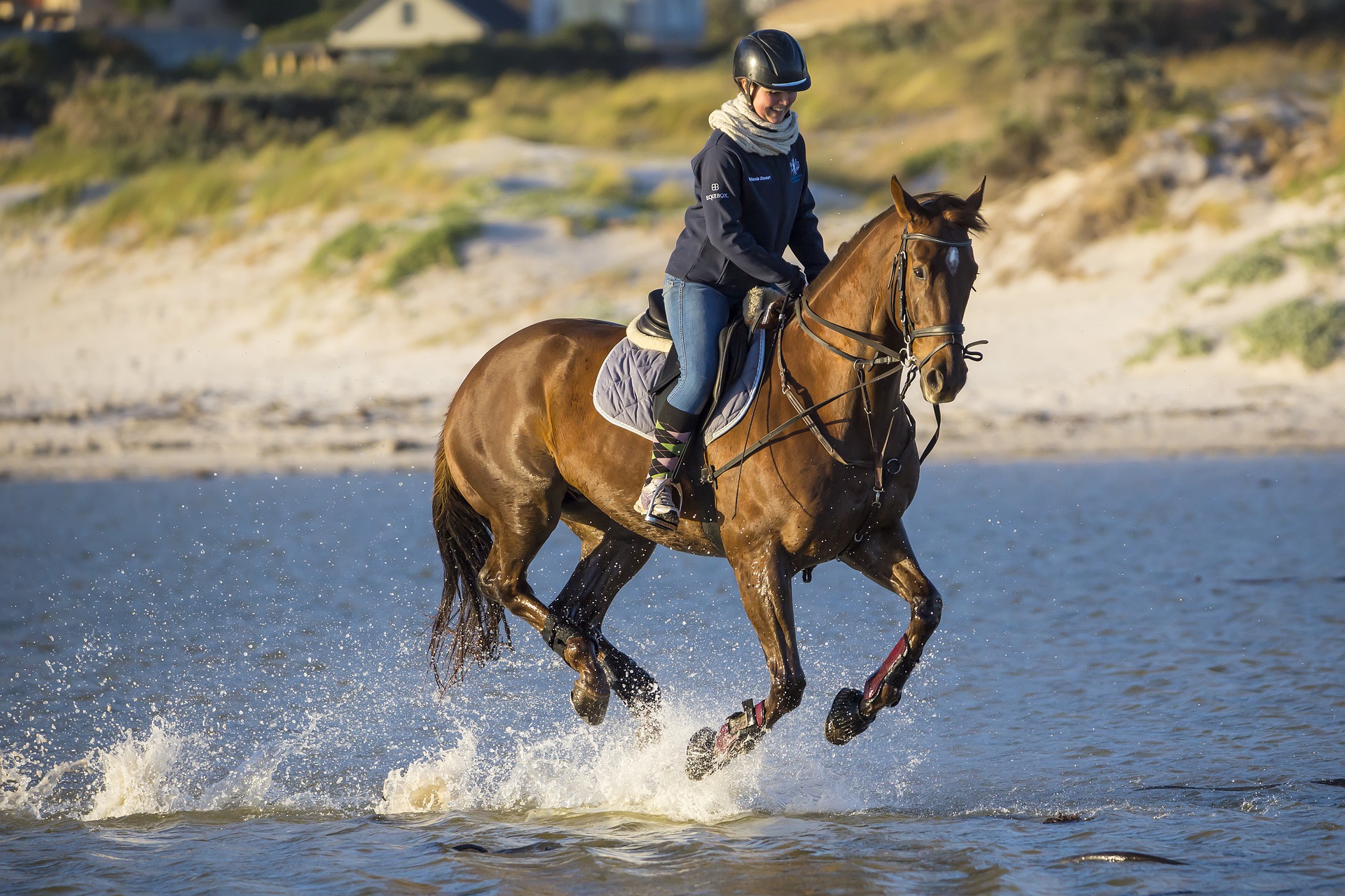 accessoire equitation cavalier - accessoire equitation pas cher - accessoires bottes equitation - accessoire d equitation - accessoire equitation fille - accessoire equitation western - accessoires pour l equitation - equitation accessoire cheval - equitation accessoires - occasion equitation accessoires 
