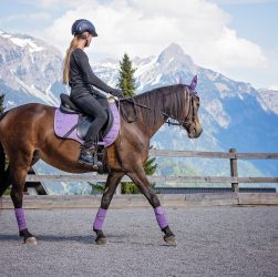accessoire bombe equitation - accessoire cheveux equitation - accessoire concours equitation - accessoire de monture equitation - accessoire equitation berbere - accessoire equitation bombe - accessoire equitation brosse - accessoire equitation cavalier boite - accessoire equitation cheval - accessoire equitation dorsale 