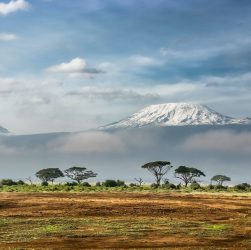 Quand partir en safari au Kenya ?