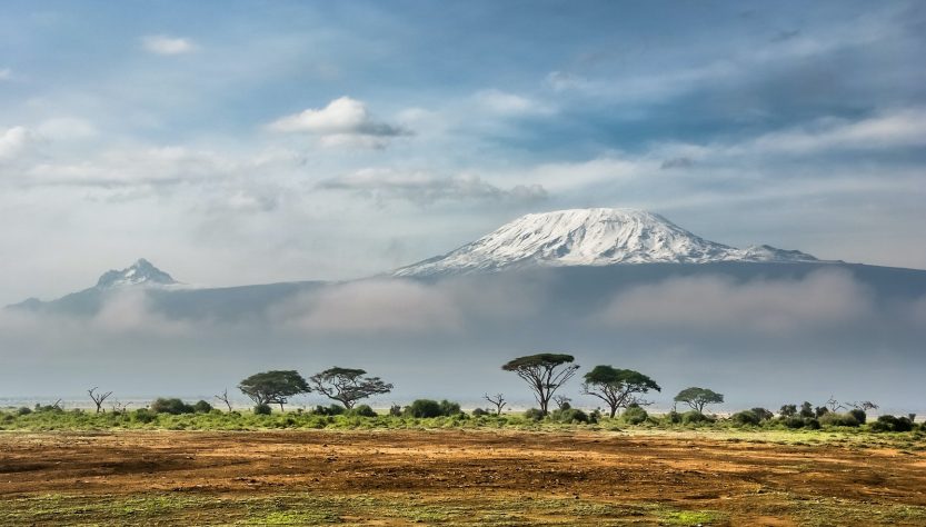 Quand partir en safari au Kenya ?