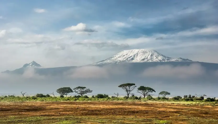 Quand partir en safari au Kenya ?